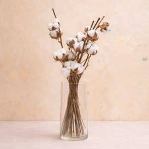 Preserved cotton flower bouquet with three natural stems