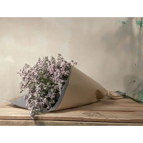 Ramo de Limonium