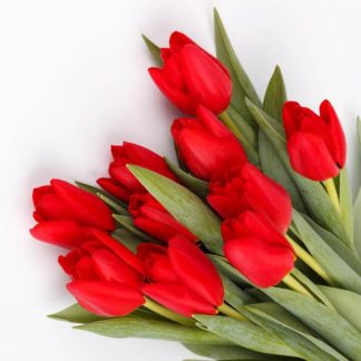 Bouquet tulipanes rojos