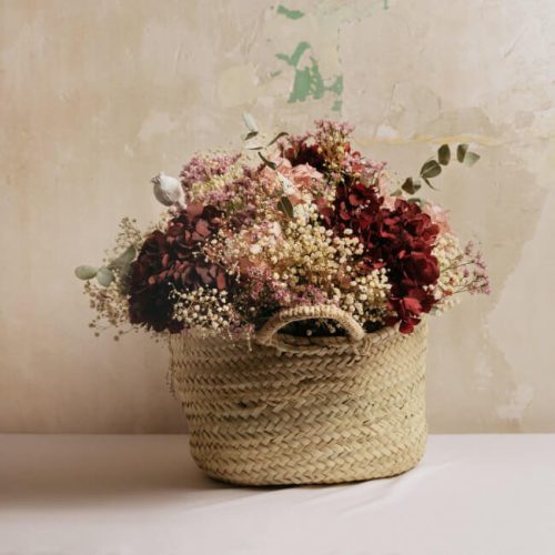 Cesta Gaia