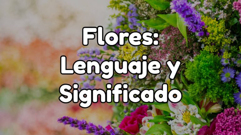 Lenguaje de las flores y significado