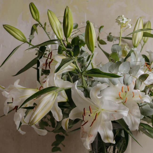 ▷ Enviar Preciosos Ramos de Lirios Blancos 【Lilium y Azucenas】