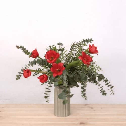 Ramo de tulipanes rojos frescos, color intenso y lleno de personalidad.